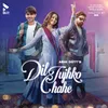 About Dil Tujhko Chahe Song