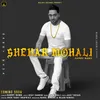 About Shehar Mohali Song