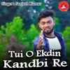 About Tui O Ekdin Kandbi Re Song