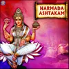 About Narmada Ashtakam Song