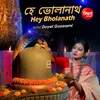 About Hey Bholanath Song