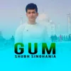 About Gum Song