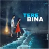 About Tere bina Song