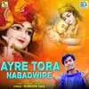 About Ayre Tora Nabadwipe Song