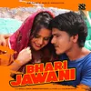 About Bhari Jawani Song