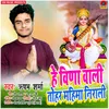 About He Vina Wali Tohar Mahima Nirali Song