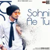 About Sohni Ae Tu Song