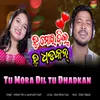 About Tu Mora Dil Tu Dhadkan Song