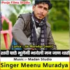 About Sadhi Pache Bhulage Bhyli Man Jan Tharo Song