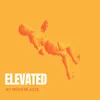 About Elevated Song