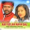 About Aay Gelak Naya Sal Song