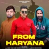 About From Haryana Song