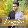 About Forgotten Song