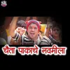 About Chaita Pakhache Navamila Song