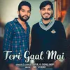 About Teri Gaal Mai Song