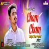 About Cham Cham Baje Tor Poyri Song