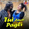 About Tui Amar Pagli Song