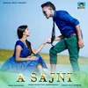 About A Sajni Song