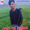 About Lage hai malook Song