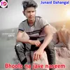 About Bhoolo na jave naseem Song