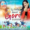 About Tor Patli Kamar Gori Song