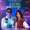 About Kacha Badam Song