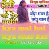 About KYA MAL HAI KYA CHAL HAI Song