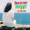 About Dil Par mar Dihlu Chori Song