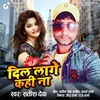 About Dil Lage Khai Na Song