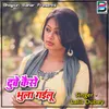 About Dubey Kaise Bhula Gailu Song