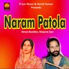 About Naram Patola Song