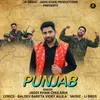 About Punjab Song