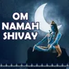 Om Namah Shivay