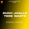 Dukh Jhalle Tere Waste