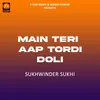 About Main Teri Aap Tordi Doli Song