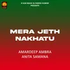 About Mera Jeth Nakhatu Song