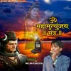 About Om Mahamritjunjaya Mantra Song