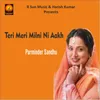 About Teri Meri Milni Ni Aakh Song