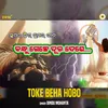 About Toke Beha Hobo Song
