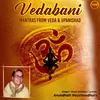 About Vedabani - Mantras From Veda And Upanishad Song