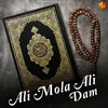 About Ali Mola Ali Dam Song