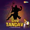 About Shiv Tandav by Shankar Mahadevan Song