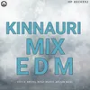 About Kinnauri Mix Edm Song