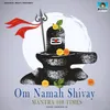 About Om Namah Shivay Mantra 108 Times Song