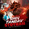 About Shiv Tandav Stotram Song