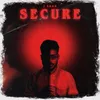 About SECURE Song