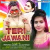 About Teri Jawani Song