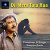 About Dil Mera Tuta Hua Song