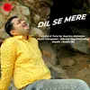 About Dil Se Mere Song