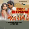 About Prem Deewana Song